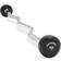 Philosophy Gym Rubber Fixed Pre-Loaded Weight EZ Curl Bar