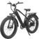 Dirwin Pioneer Fat Tire Electric Bike Unisex