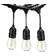 Thomas Mark 120V 24ft Commercial Ready Dimmable Outdoor LED Patio 12 24 Lamps