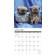 Willow Creek Press 12" x 12" 2024 Animals Monthly Wall Calendar