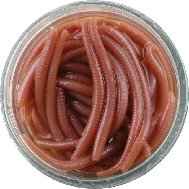 Berkley Gulp Alive Mini-Earthworms Brown Twin Pack • Price »
