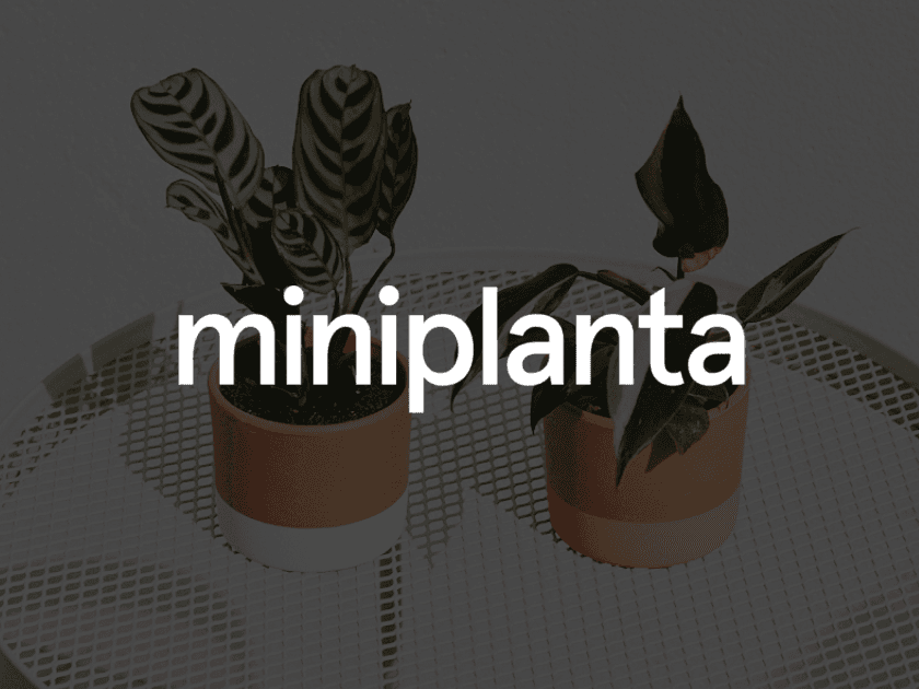 Miniplanta 840x630